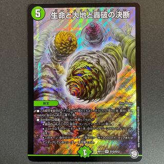 Wounded Life Life, Earth and Roaring Decision SR S12/S12