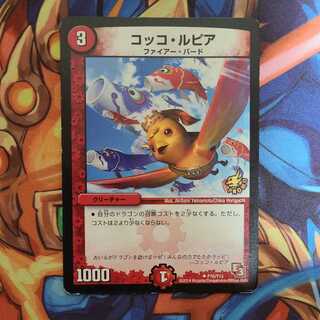 Cocco Lupia Promo ver.