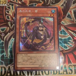 Mushi no Ninja Ichimitsu Secret Rare