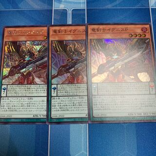 Dragon Swordsman Ignis P. Secret, etc.