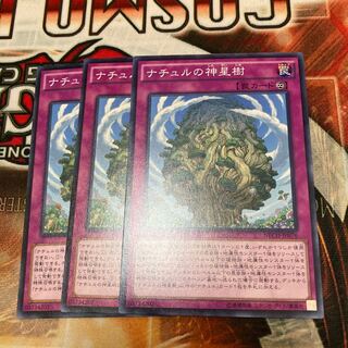 Naturia Sacred Tree Normal 3-card special