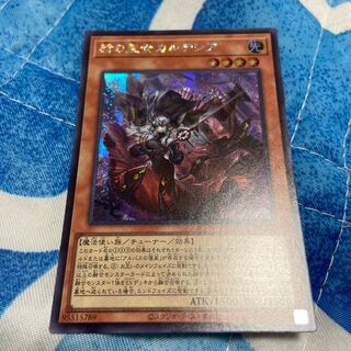 赫の聖女　カルテシア　シークレット