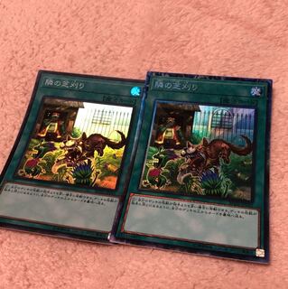 隣の芝刈り SR1 コレ1