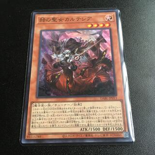 Cartesia, the Brilliant Saint Super