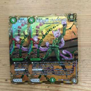 Unexplained chain Brittanecco SE 2-piece set