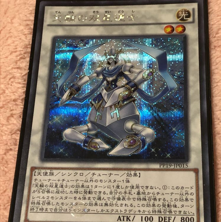 天輪の双星道士 シク