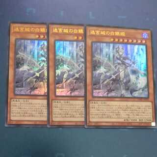 迷宮城の白銀姫✕３　【木林堂】