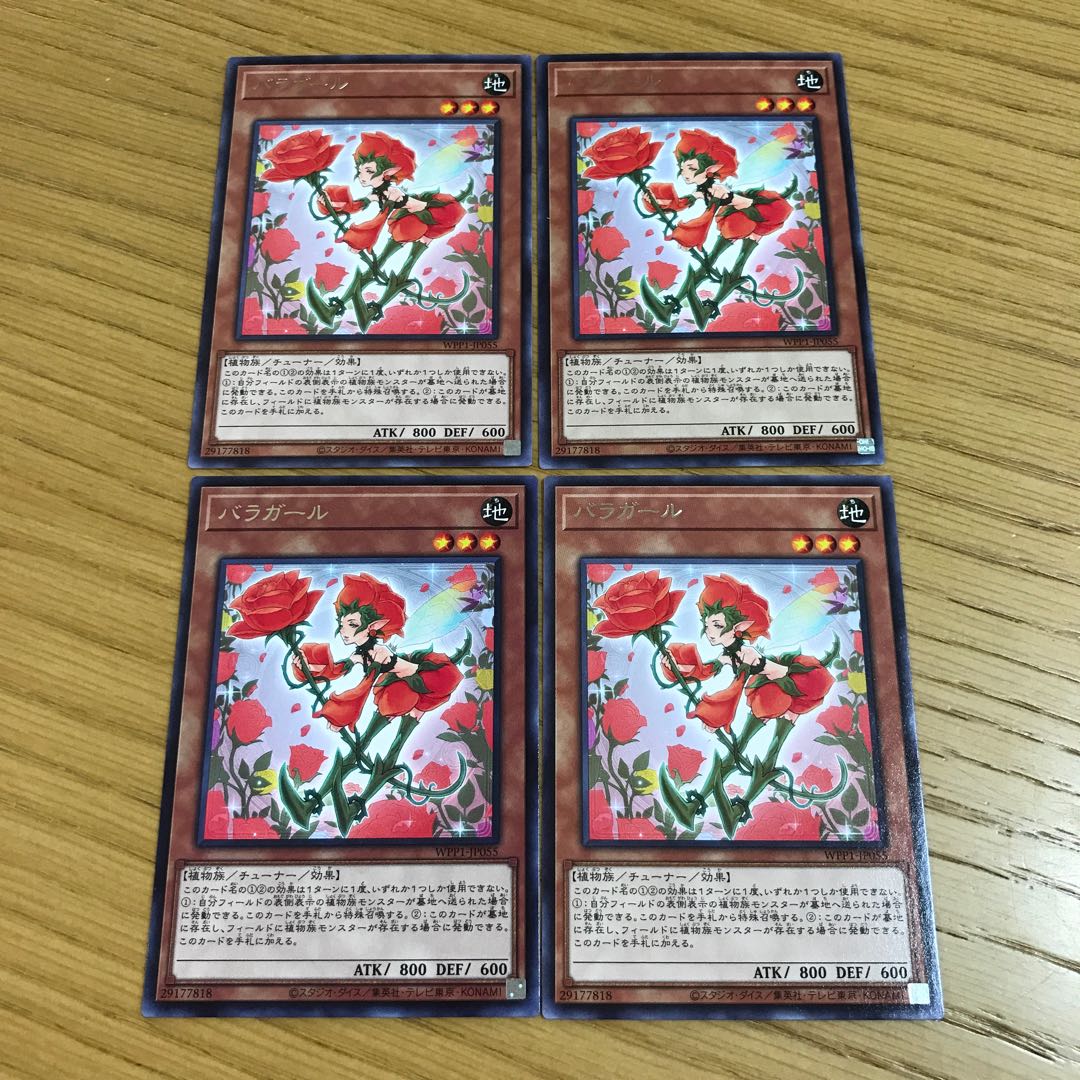 Rose Girl Rare JP055 Set of 4
