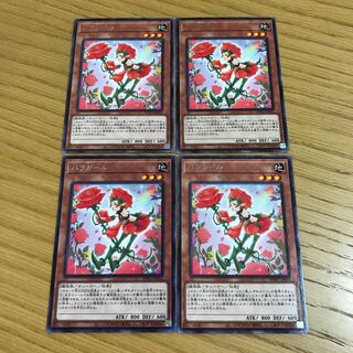 Rose Girl Rare JP055 Set of 4
