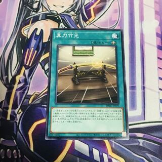 Mannojo Takemitsu [NR] (Japanese only)