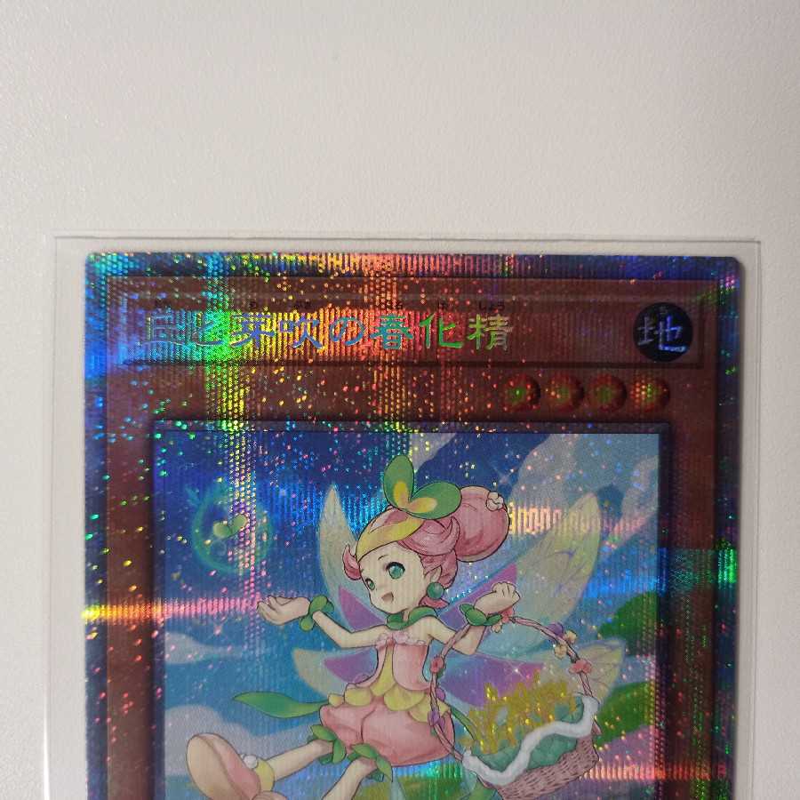 Springing Spirit of Hills and Buds Plissik Y055