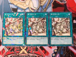 遊戯王 魔法族の里 ノーパラ3枚
