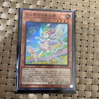 丘と芽吹の春化精 スーパーレア JP016