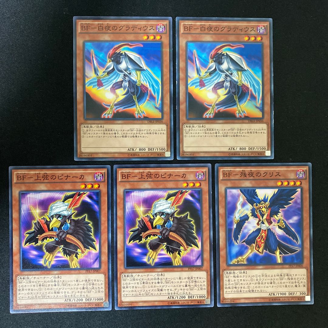 BF- Ku Squirrel of Remaining Night, etc.