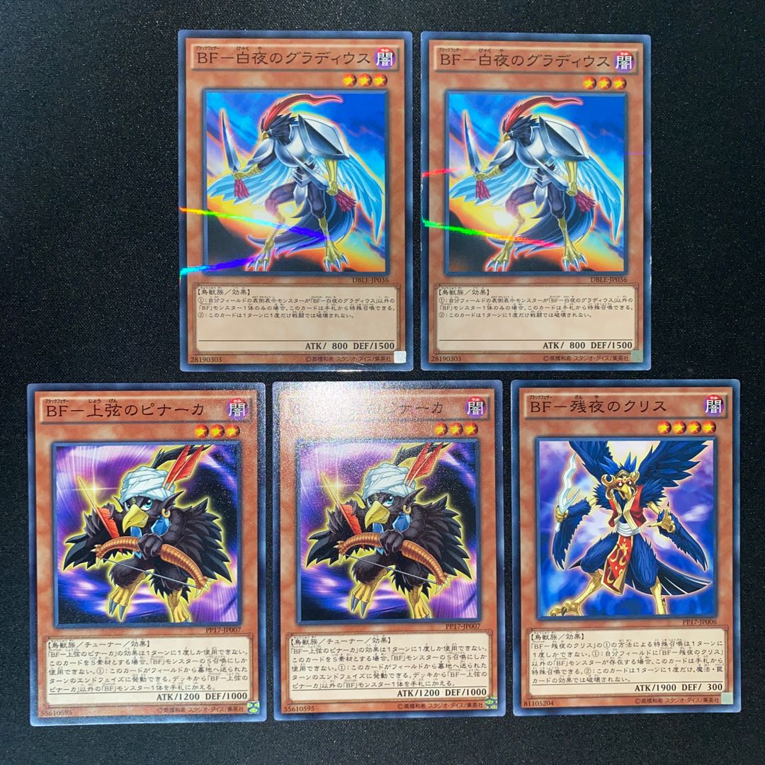 BF- Ku Squirrel of Remaining Night, etc.