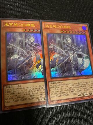 The White Silver Princess of the Labyrinth Castle, Laburinth