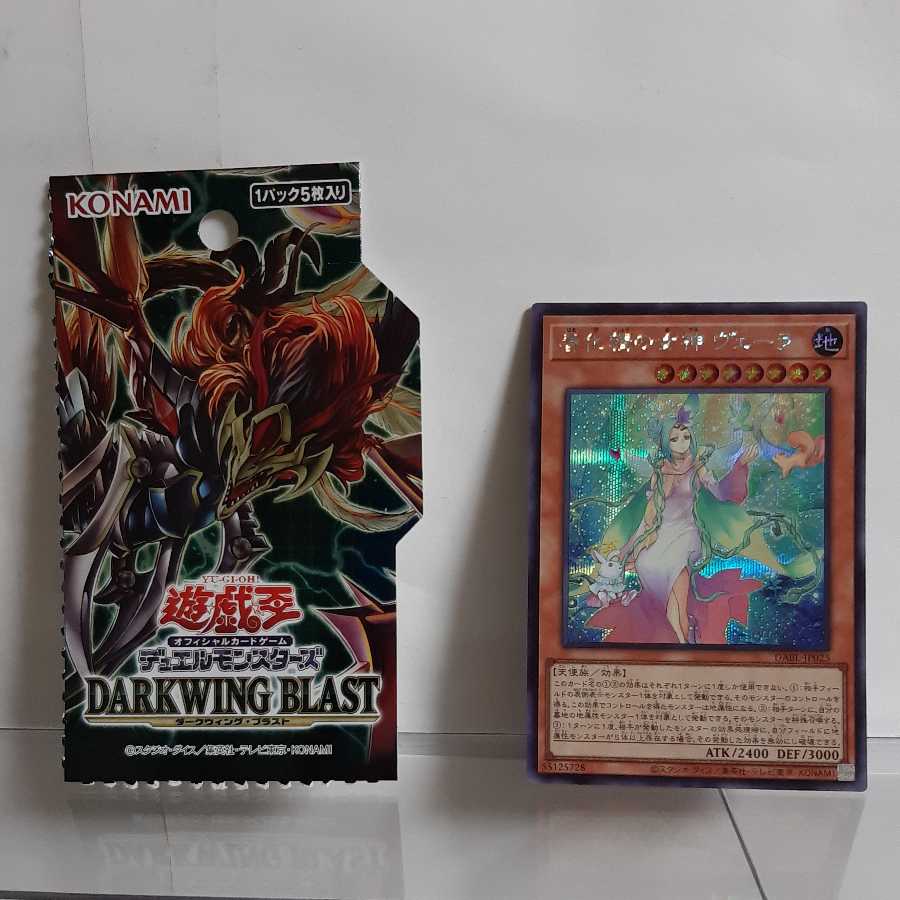 Yu-Gi-Oh, Goddess of Haruka Sei Vera Secret A+