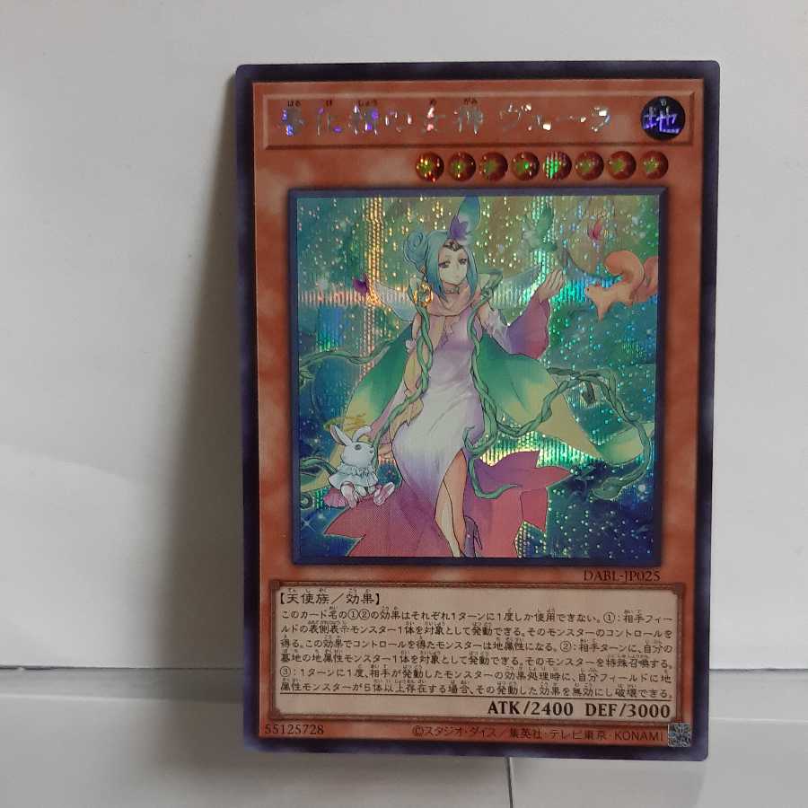 Yu-Gi-Oh, Goddess of Haruka Sei Vera Secret A+