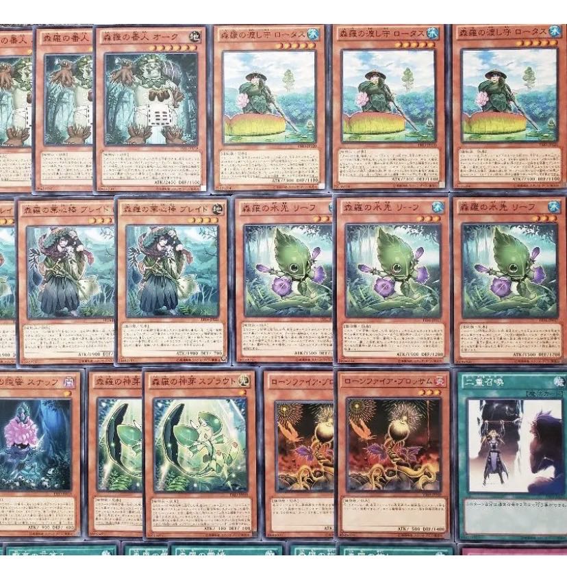 NO.377 Yu-Gi-Oh Constructed The True Name Forest Luo Deck!