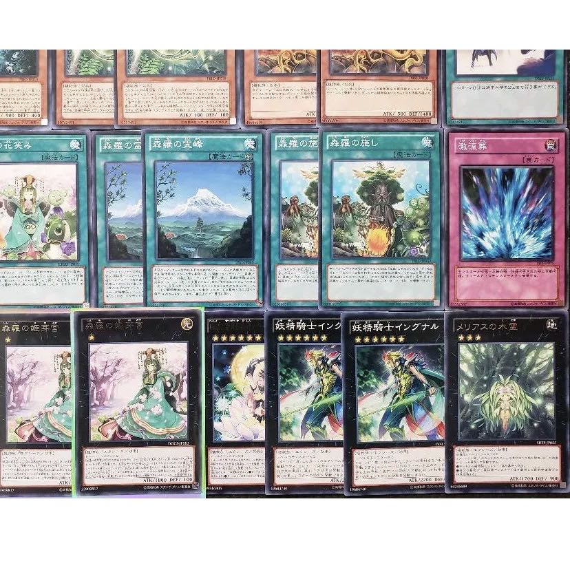 NO.377 Yu-Gi-Oh Constructed The True Name Forest Luo Deck!