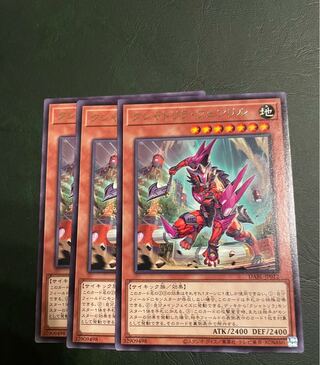 Kshatriya Fenrir 1枚