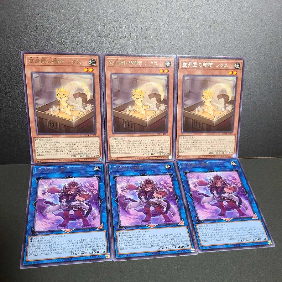 Kuukagan's cargo Lex Kuukagan's bosom sword Donna