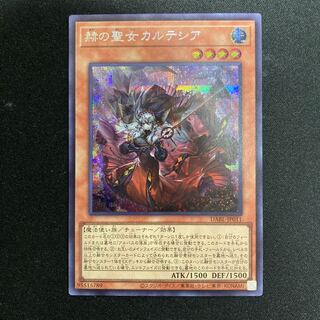 赫の聖女カルテシア　シク