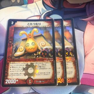 someone who curls up under a kotatsu all winter