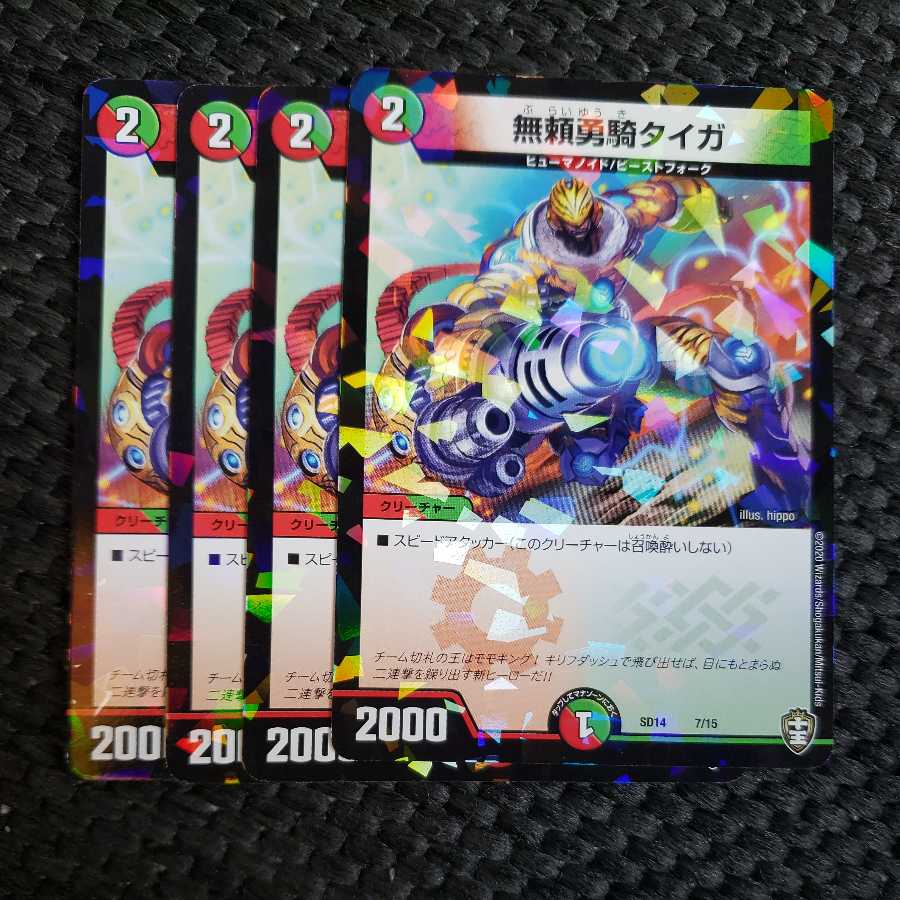 Daiga, the Relentless and Brave Rider