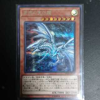 青眼の亜白龍 シークレット