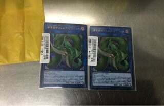 捕食植物ヴェルテ・アナコンダ  1枚価格