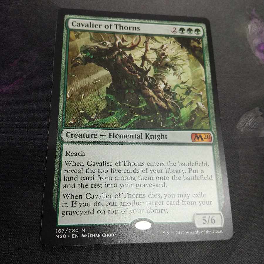 MTG Cavalier of Thorns English edition