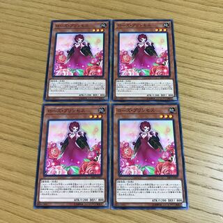 Rose Princess Normal JP007 Set of 4