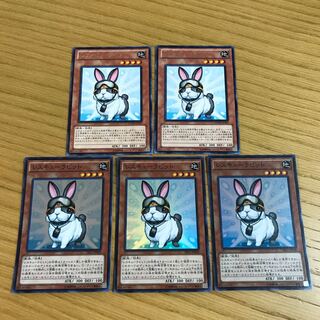 Rescue Rabbit 5-piece set
