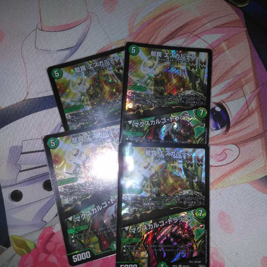 エスカルデン/マスクカルゴトラップ4枚セット