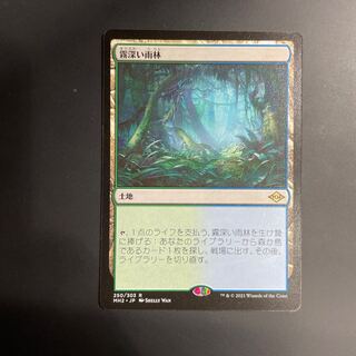 Misty Rainforest Rare 250/303