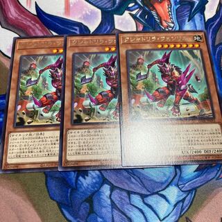 クシャトリラ・フェンリル