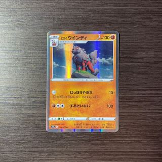 Pocketka Arcanine