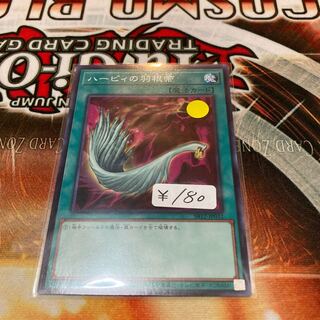 ハーピィの羽根帚 ノーマル  1枚特価品