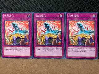 【ぽぽたん】遊戯王 8545 突然進化 3枚 ノーマル