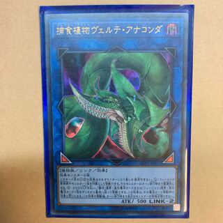 捕食植物ヴェルデ・アナコンダ