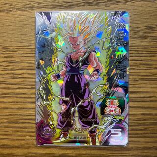 Son Gohan, Boyhood UM12-SEC3