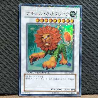 【ぽぽたん】遊戯王  -2227 ナチュル・ガオドレイク スーパー