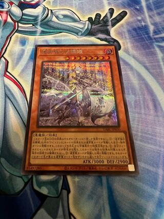 Lady of the Labyrinth: The Silver Princess of the Labyrinth Castle Secret