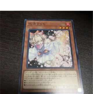 Yu-Gi-Oh! Ash Blossom & Joyous Spring