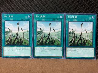 【ぽぽたん】遊戯王 8501 竜の霊廟 3枚 ノーマル