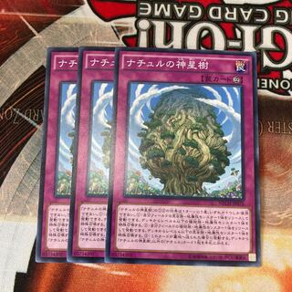 Naturia Sacred Tree Normal 3-card special