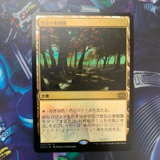 MTG 禁忌の果樹園 EXP FOIL 4枚セット フルアート)禁忌の果樹園/Forbidden Orchard《日本語》【2X2】