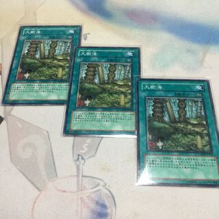 大樹海 ノーマル