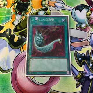 ハーピィの羽根帚 ミレニアムスーパー